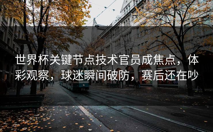 世界杯关键节点技术官员成焦点，体彩观察，球迷瞬间破防，赛后还在吵