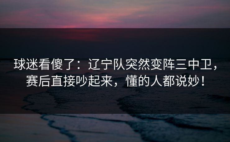 球迷看傻了：辽宁队突然变阵三中卫，赛后直接吵起来，懂的人都说妙！
